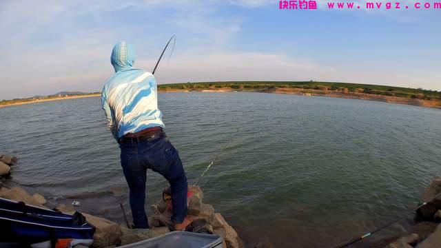 深秋野钓鲤鱼全攻略，大鲤鱼概率变高，位置最重要(图4)