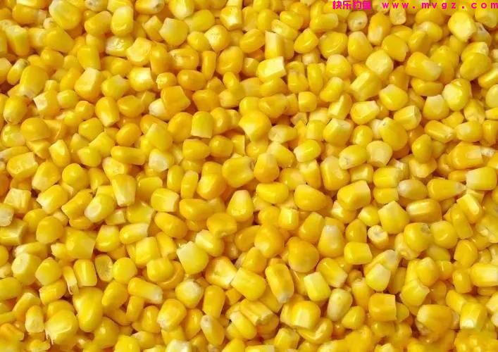 晚秋野钓大鲤鱼，使用这几种饵料，多钓三五条还是有把握的