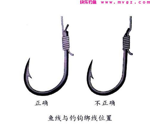 钓鲤鱼用几号钩？用什么钩？(图2)