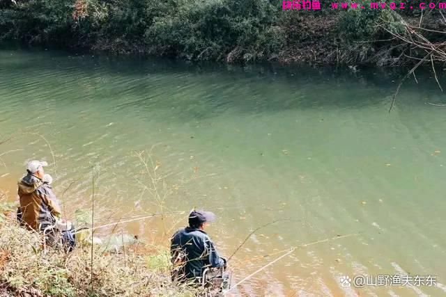 夏天垂钓鲤鱼需要注意哪些方面?学会这五个方面,何愁鱼儿不上钩(图4) 夏天垂钓鲤鱼需要注意哪些方面?学会这五个方面,何愁鱼儿不上钩(图4)