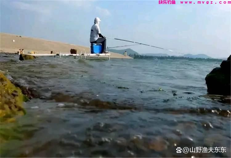 夏天垂钓鲤鱼需要注意哪些方面?学会这五个方面,何愁鱼儿不上钩(图2) 夏天垂钓鲤鱼需要注意哪些方面?学会这五个方面,何愁鱼儿不上钩(图2)