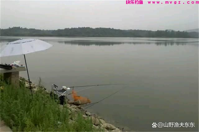 夏天垂钓鲤鱼需要注意哪些方面?学会这五个方面,何愁鱼儿不上钩(图1) 夏天垂钓鲤鱼需要注意哪些方面?学会这五个方面,何愁鱼儿不上钩(图1)