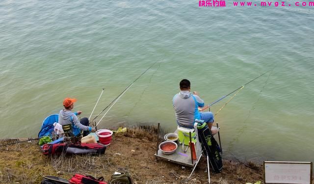 钓鲤鱼怎么选浮漂?(图1) 钓鲤鱼怎么选浮漂?(图1)