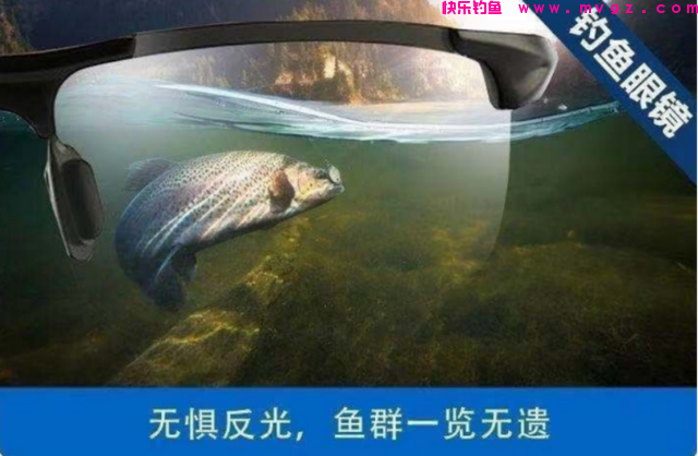 这东西专攻鲤鱼，鱼儿见它久聚不散，想钓鲤鱼别错过(图9)