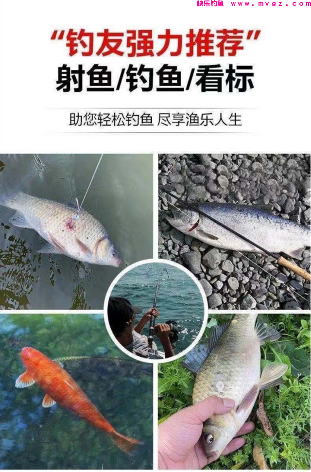 这东西专攻鲤鱼，鱼儿见它久聚不散，想钓鲤鱼别错过(图11)