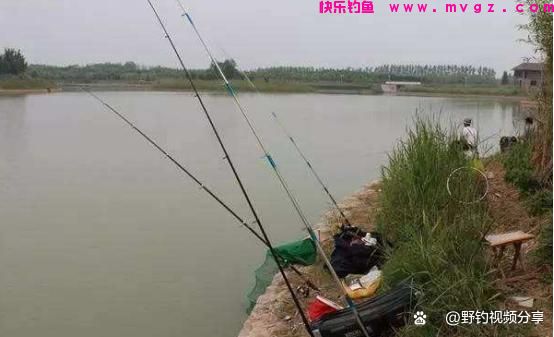 春末夏初钓鲤鱼,认准这3个“钓位”,快速锁定鱼窝,一钓一个准(图4) 春末夏初钓鲤鱼,认准这3个“钓位”,快速锁定鱼窝,一钓一个准(图4)
