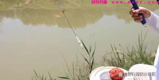 春末夏初钓鲤鱼,认准这3个“钓位”,快速锁定鱼窝,一钓一个准(图3) 春末夏初钓鲤鱼,认准这3个“钓位”,快速锁定鱼窝,一钓一个准(图3)