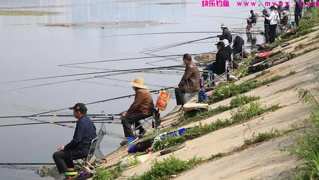 晚春钓鲤鱼,遵循这4大“规律”,屡试不爽,大鲤鱼上不停(图4) 晚春钓鲤鱼,遵循这4大“规律”,屡试不爽,大鲤鱼上不停(图4)