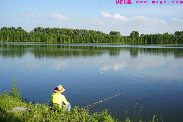 春末钓鲤鱼，钓位选择的必备技巧，做好了才能有收获(图1)