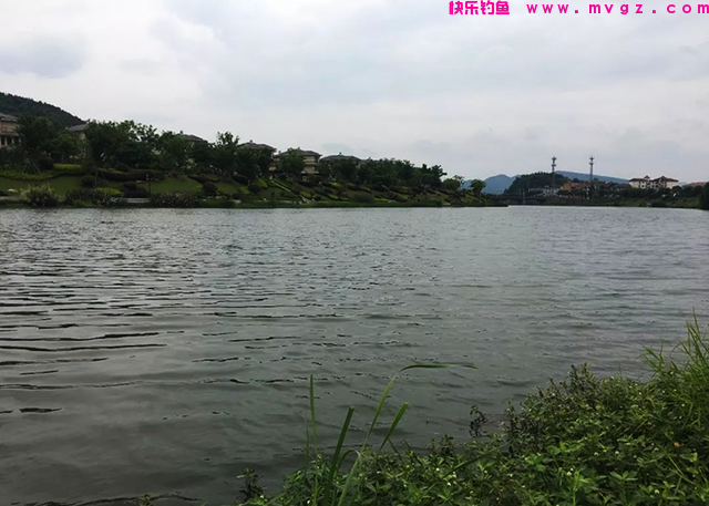 春末钓鲤鱼，钓位选择的必备技巧，做好了才能有收获(图2)