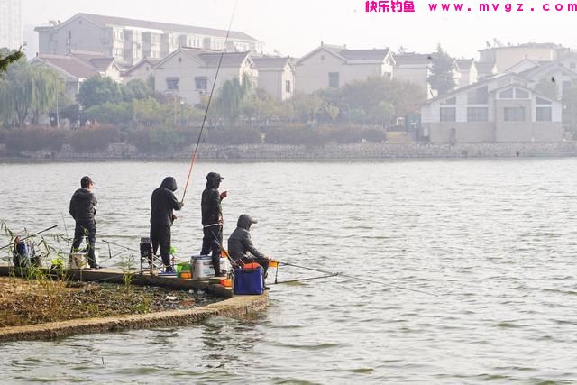 春末钓鲤鱼，钓位选择的必备技巧，做好了才能有收获(图3)