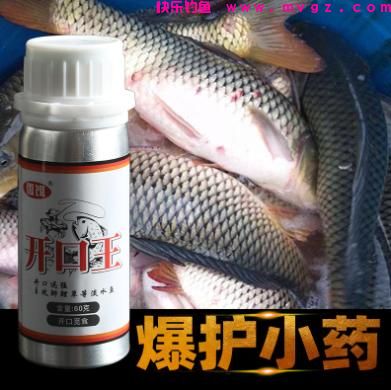 想钓鲤鱼怎么办？选择这个小技巧，钓鱼得心应手，不费吹灰之力(图5)