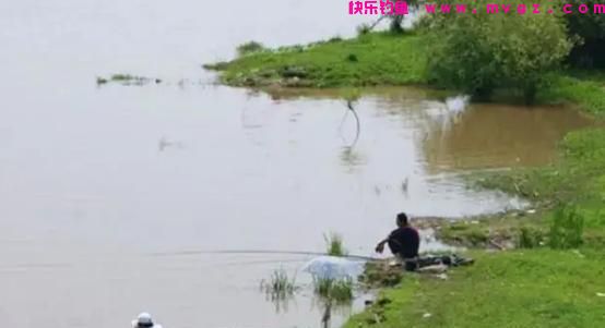 还不知道怎么钓鲤鱼？记住这4个“绝密”位置，找准爆护很轻松(图4)