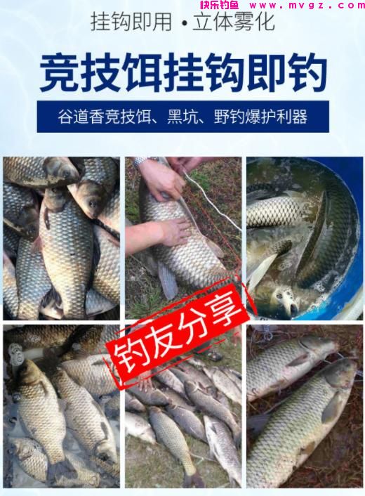 还不知道怎么钓鲤鱼？记住这4个“绝密”位置，找准爆护很轻松(图9)