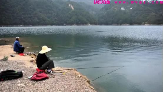 还不知道怎么钓鲤鱼？记住这4个“绝密”位置，找准爆护很轻松