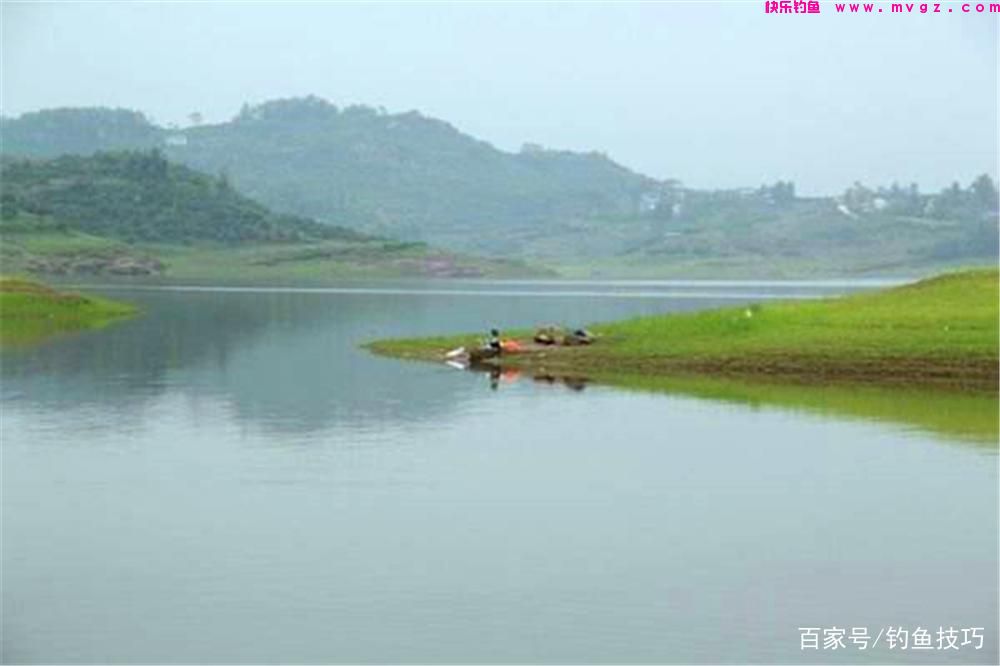 春钓鲤鱼，钓位选择的3大策略，找鲤鱼扎堆的地方，轻松连竿上鱼(图3)