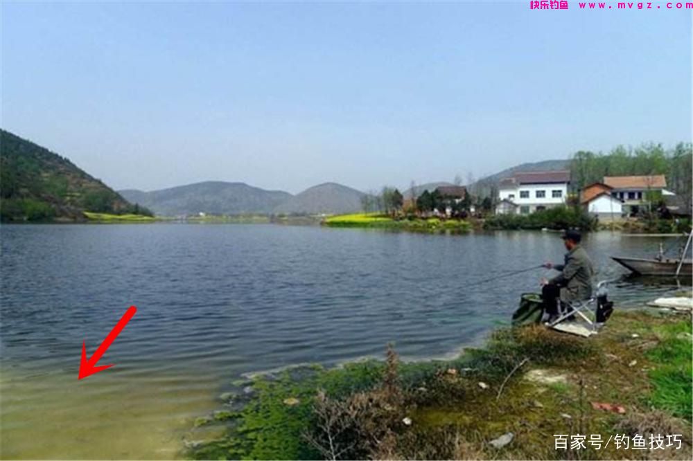 春季钓鲤鱼，核心秘诀有4条，这些招数要常用，想不爆护都难！(图3)