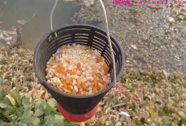钓鲤鱼，只要掌握3大技巧，钓多少，你来定！