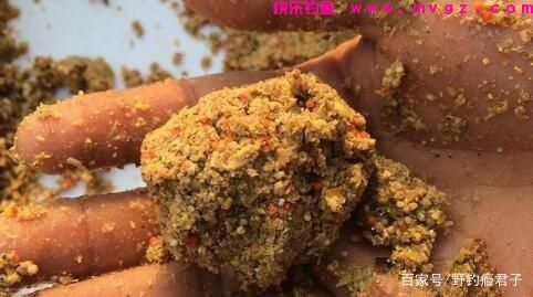 作钓鲤鱼这些细节你需知道(图4)