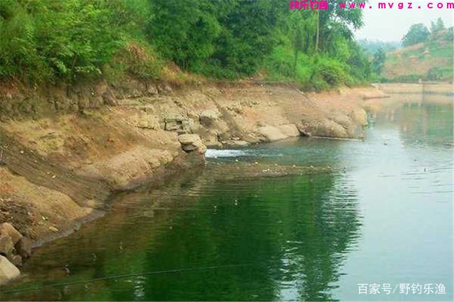 如何钓鲤鱼？(图3)