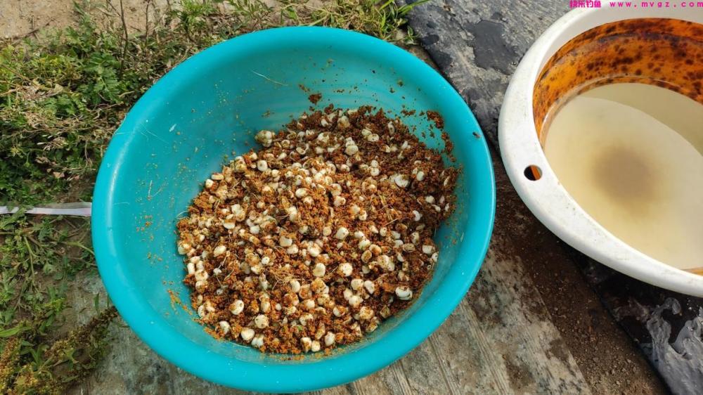初夏野钓大鲤鱼全攻略，用此法钓鲤鱼，连竿上鱼是有保障的(图6)