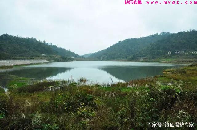 怎样钓鲤鱼最快爆护？钓鱼高手，分享钓鲤鱼4大绝招(图2)