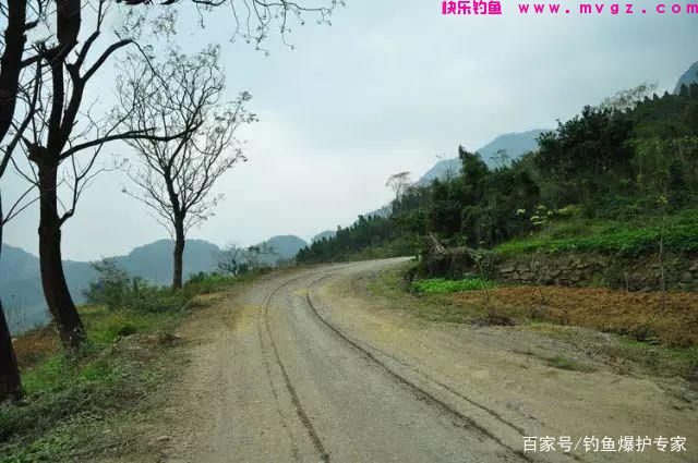 怎样钓鲤鱼最快爆护？钓鱼高手，分享钓鲤鱼4大绝招(图1)