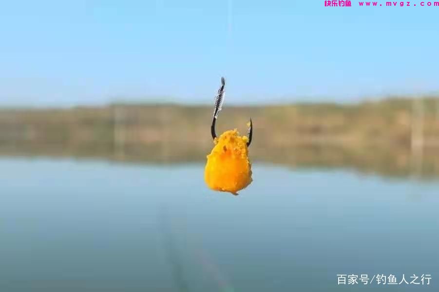 春天手竿钓鲤鱼的攻略与窍门，低密度也可以，只要水里有(图2)