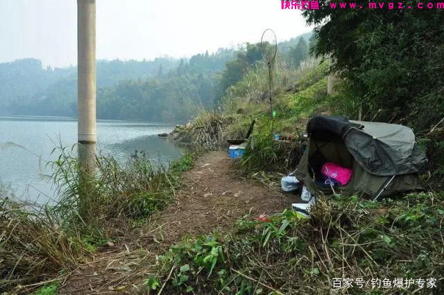 怎样钓鲤鱼最快爆护？钓鱼高手，分享钓鲤鱼4大绝招(图3)