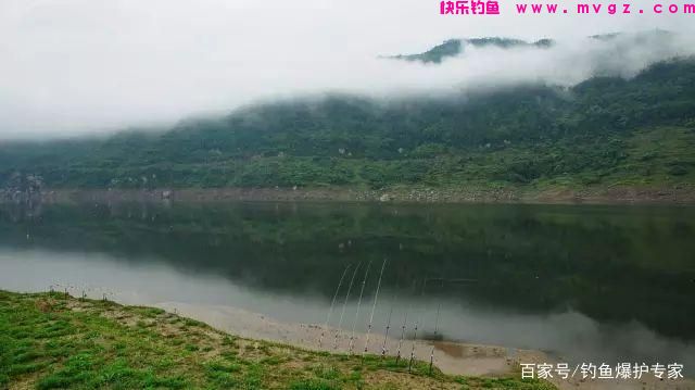 怎样钓鲤鱼最快爆护？钓鱼高手，分享钓鲤鱼4大绝招(图7)