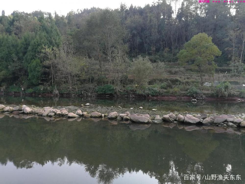 春钓大鲤鱼,这四招必备