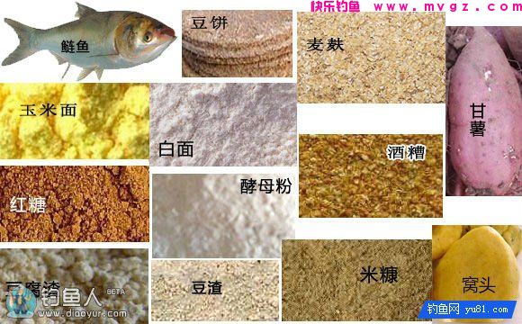 自制9种常用的鲢鳙饵料配方原材料(图1) 自制9种常用的鲢鳙饵料配方原材料(图1)