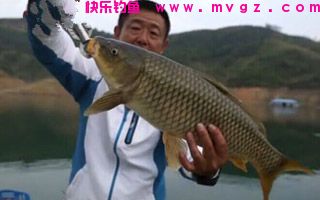酸臭饵料制作方法钓鲤鱼鲢鱼鲫鱼草鱼介绍