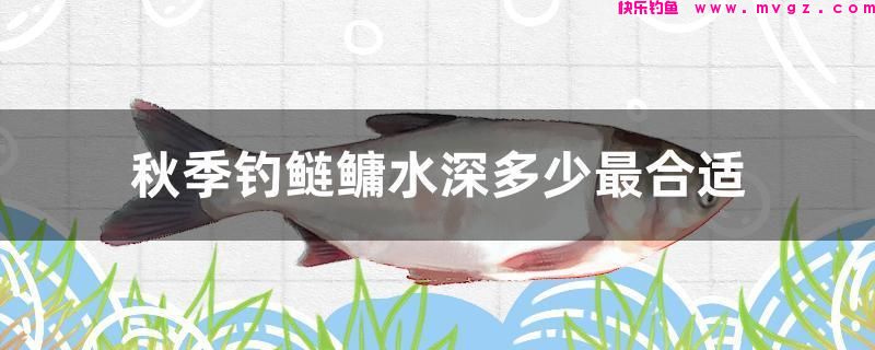 秋季钓鲢鳙水深多少最合适(图1)