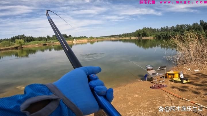 钓鲢鳙从什么时候开始找水层?(图3) 钓鲢鳙从什么时候开始找水层?(图3)