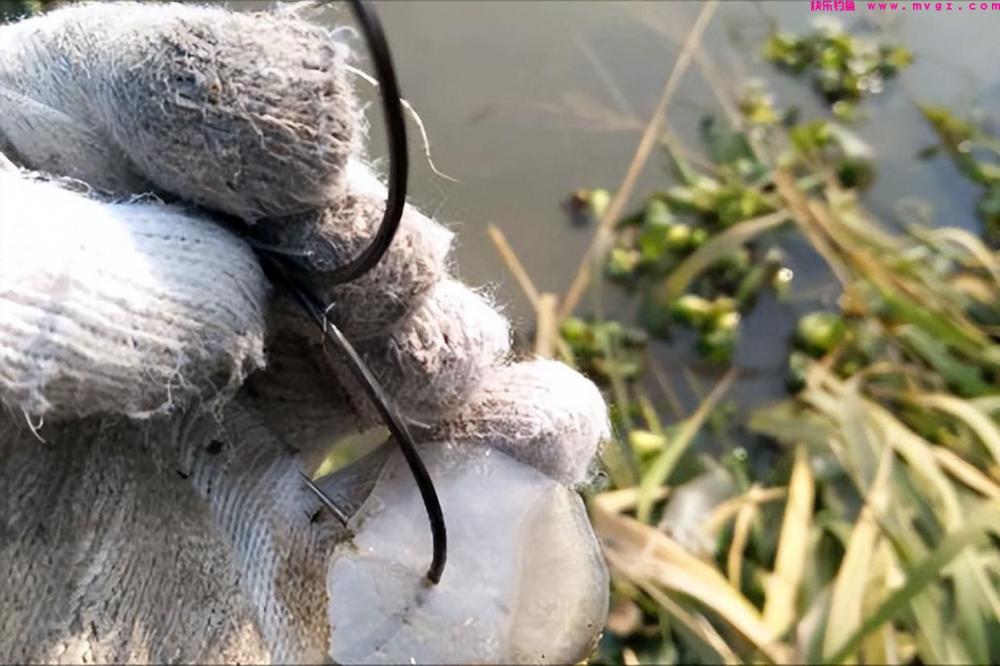 新手钓鲢鳙从这篇文章开始,分5个方面讲明白,学会就不要锚鱼了(图1) 新手钓鲢鳙从这篇文章开始,分5个方面讲明白,学会就不要锚鱼了(图1)