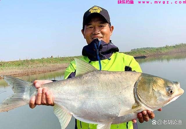 深秋钓鲢鳙，掌握并灵活运用这6大要领，狂拉大物不再是梦(图9)