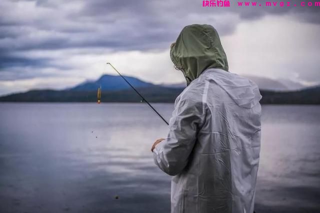 盛夏才是钓鲢鳙的好时节，这些“秘诀”要学会，鲢鳙爆护不是难事(图7)