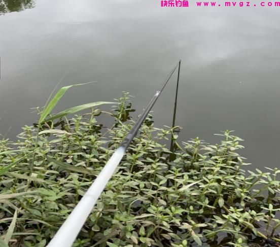 钓鲢鳙6个实用技巧，如何做到不再锚鱼？钩距、水层影响中鱼几率(图2)