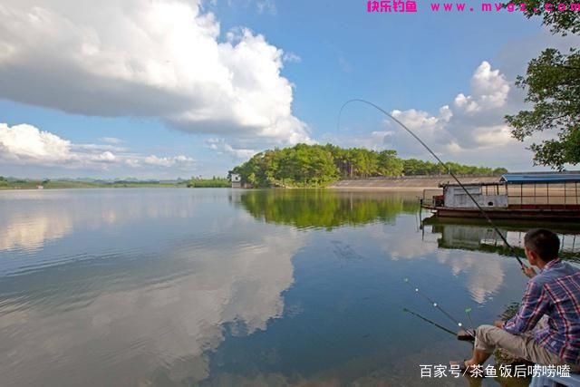 夏钓鲢鳙,这3个点,你注意到了吗?(图1) 夏钓鲢鳙,这3个点,你注意到了吗?(图1)