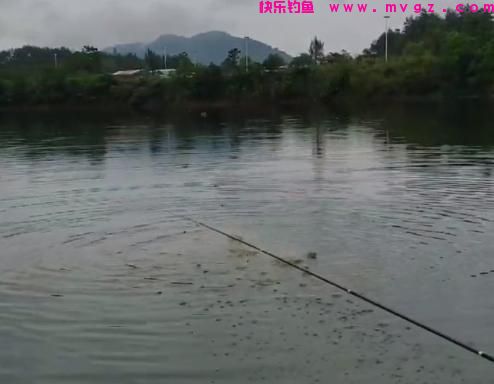 钓鲢鳙需打窝还是抽窝，王者之战给出答案，崔秉亮怼邓刚，诚不欺我(图1)