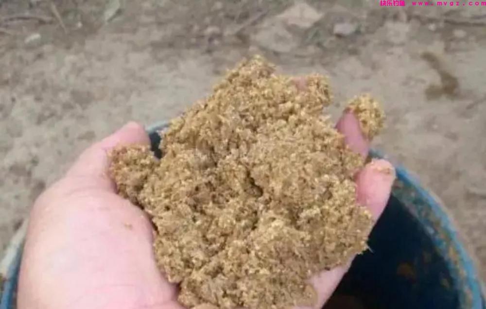 野钓鲢鳙如何打窝？区分情况区别对待，不能固守一种方式(图2)