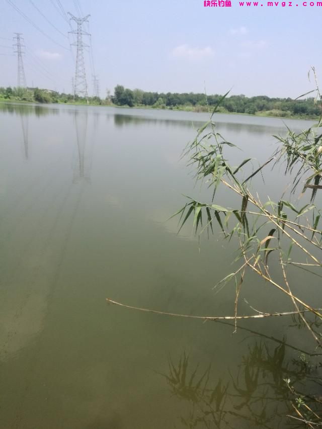 手竿钓鲢鳙一一台钓爱好者的进门考？(图1)