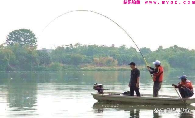 一盘一个准，邓刚高价钓鱼，还能成功换牲口，是剧情还是真有技术(图7)