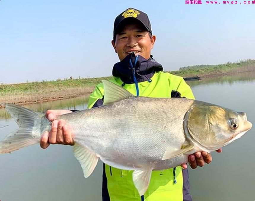 垂钓鲢鳙，除了要学习“邓氏钓法”，这几个技巧也很关键(图2)