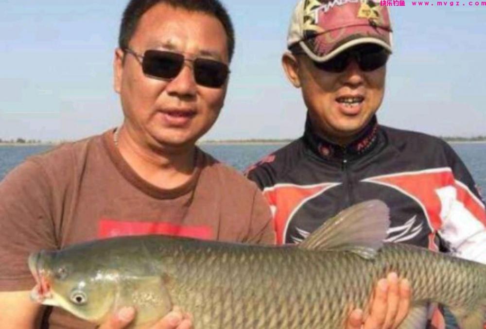 喜欢钓鲢鳙的钓友有福了，邓刚和崔炳亮难得起争执，都来学学吧