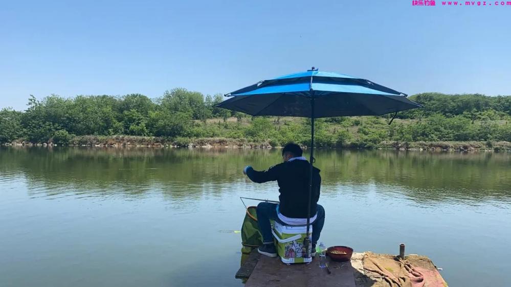 鲢鳙钓的好无非掌握了这几个要点，往往你错的只是其中的一种