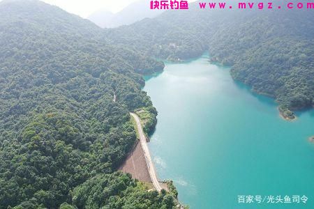 收费水库为何不能钓鲢鳙?老板说:别耽误我钓“人”!(图1) 收费水库为何不能钓鲢鳙?老板说:别耽误我钓“人”!(图1)