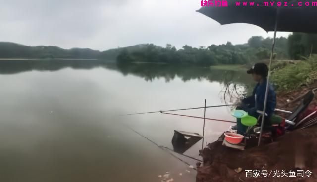 收费水库为何不能钓鲢鳙?老板说:别耽误我钓“人”!(图5) 收费水库为何不能钓鲢鳙?老板说:别耽误我钓“人”!(图5)