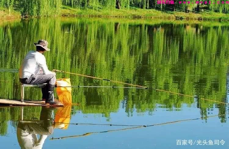 收费水库为何不能钓鲢鳙?老板说:别耽误我钓“人”!(图7) 收费水库为何不能钓鲢鳙?老板说:别耽误我钓“人”!(图7)